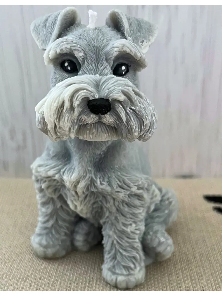 Nala de la Luz 1
