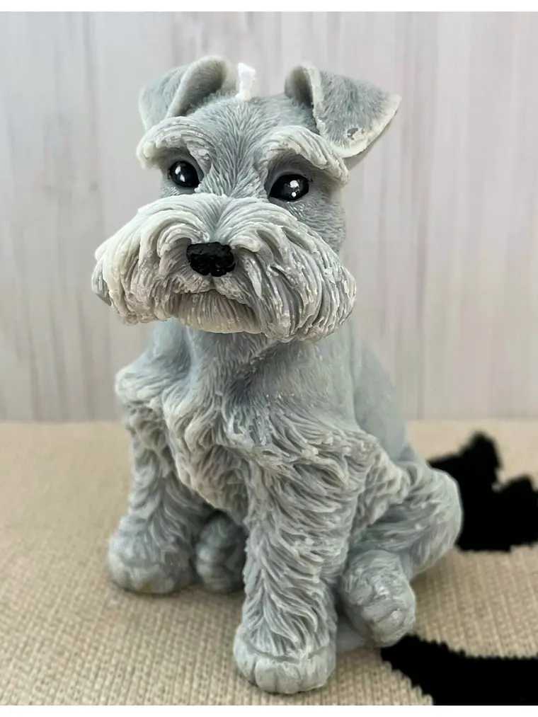 Nala de la Luz 2