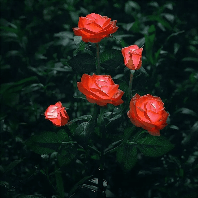 Estaca solar rosa roja, luz multicolor 