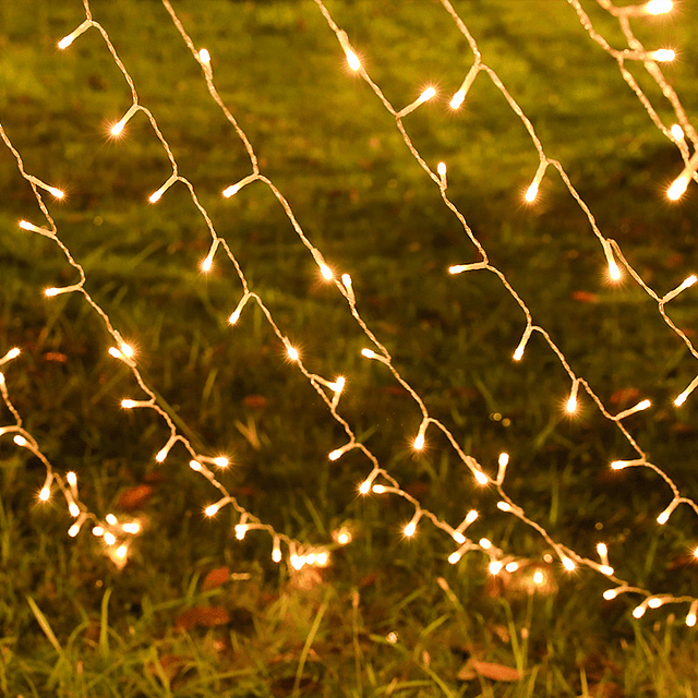 Pino colgante solar cálida arbol