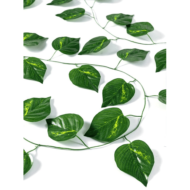 Cortina cenefa SOLAR 2x1mt hojas verdes enredadera 