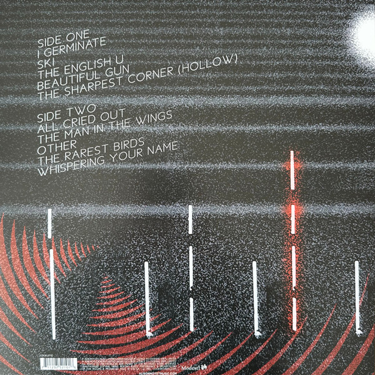 Alison Moyet – The Other Live Collection 2