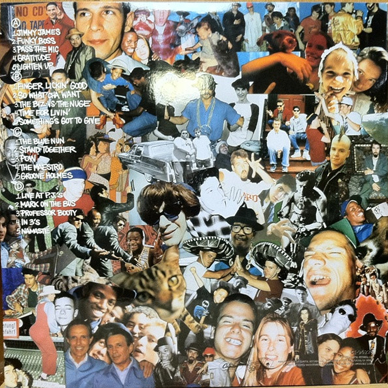 Beastie Boys – Check Your Head 2