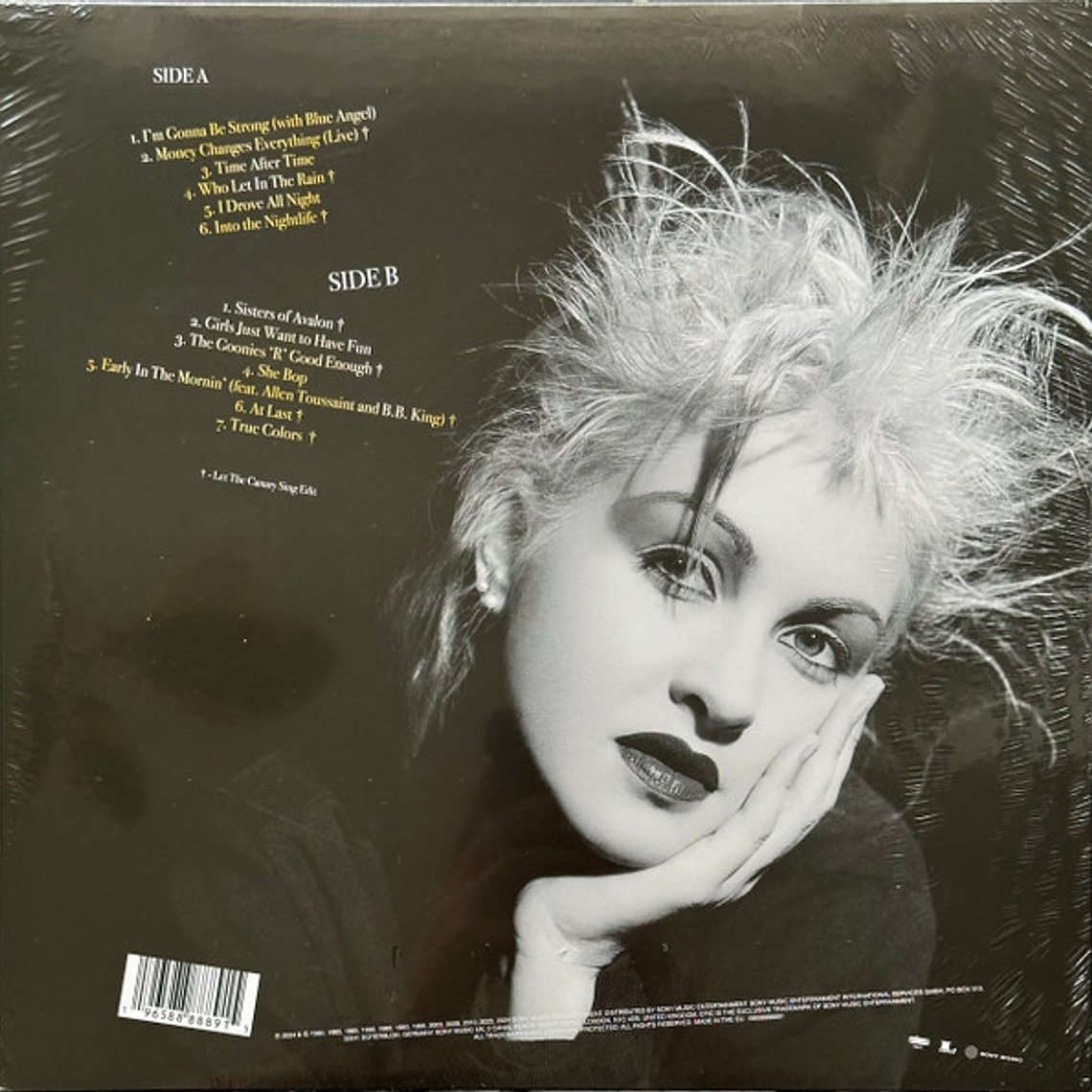 Cyndi Lauper – Let The Canary Sing 2