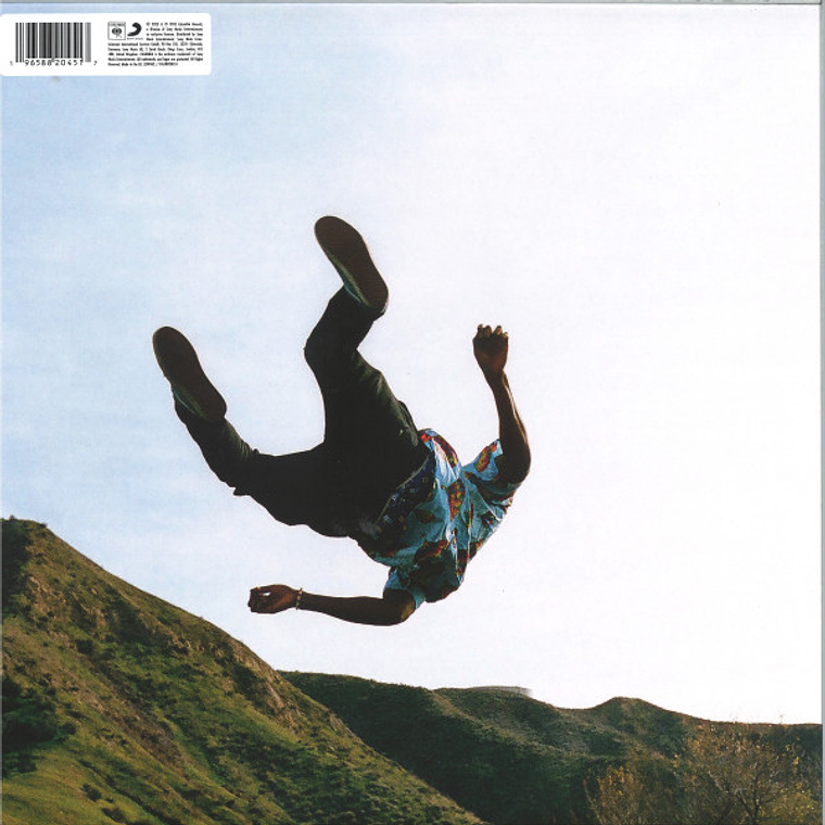 Tyler, The Creator – Wolf 2