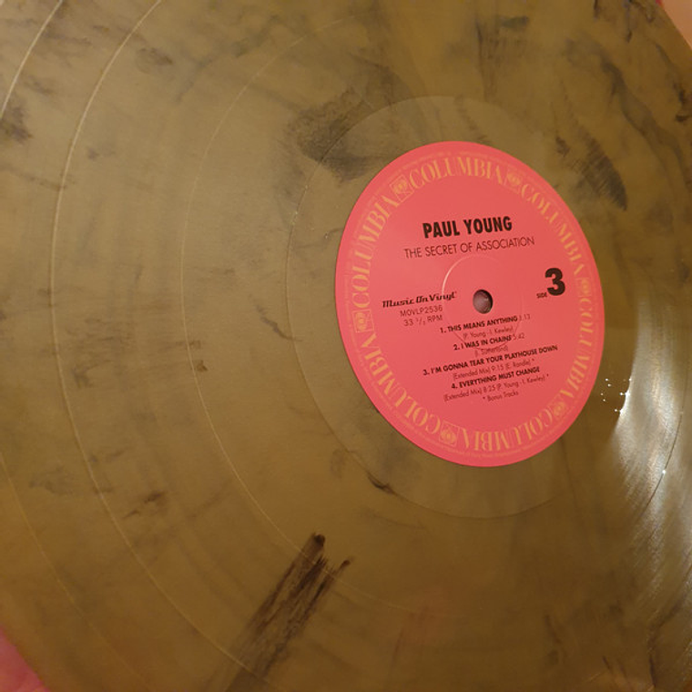 Paul Young – The Secret Of Association 4