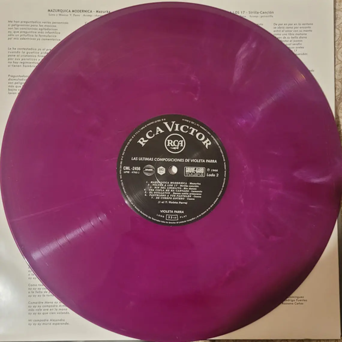 Violeta Parra – Las últimas composiciones de Violeta Parra 3