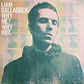 Liam Gallagher – Why Me? Why Not. - Miniatura 1