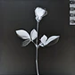 Depeche Mode – Violator - Miniatura 3