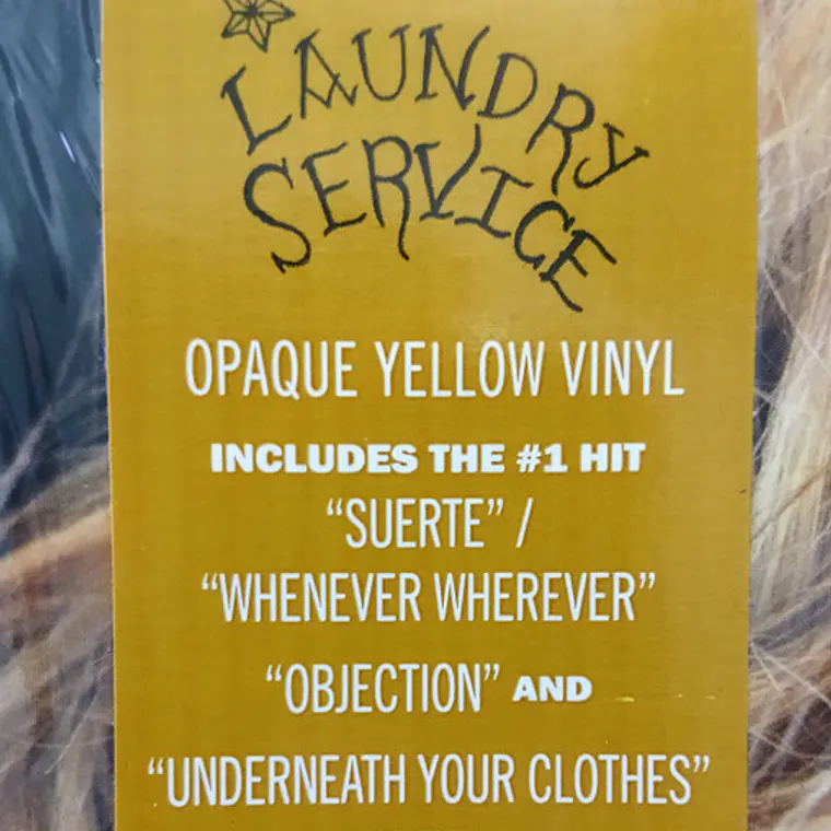 Shakira – Laundry Service 3