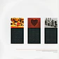 The Breeders – Last Splash - Miniatura 3