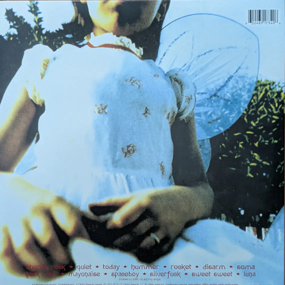 Smashing Pumpkins – Siamese Dream 2