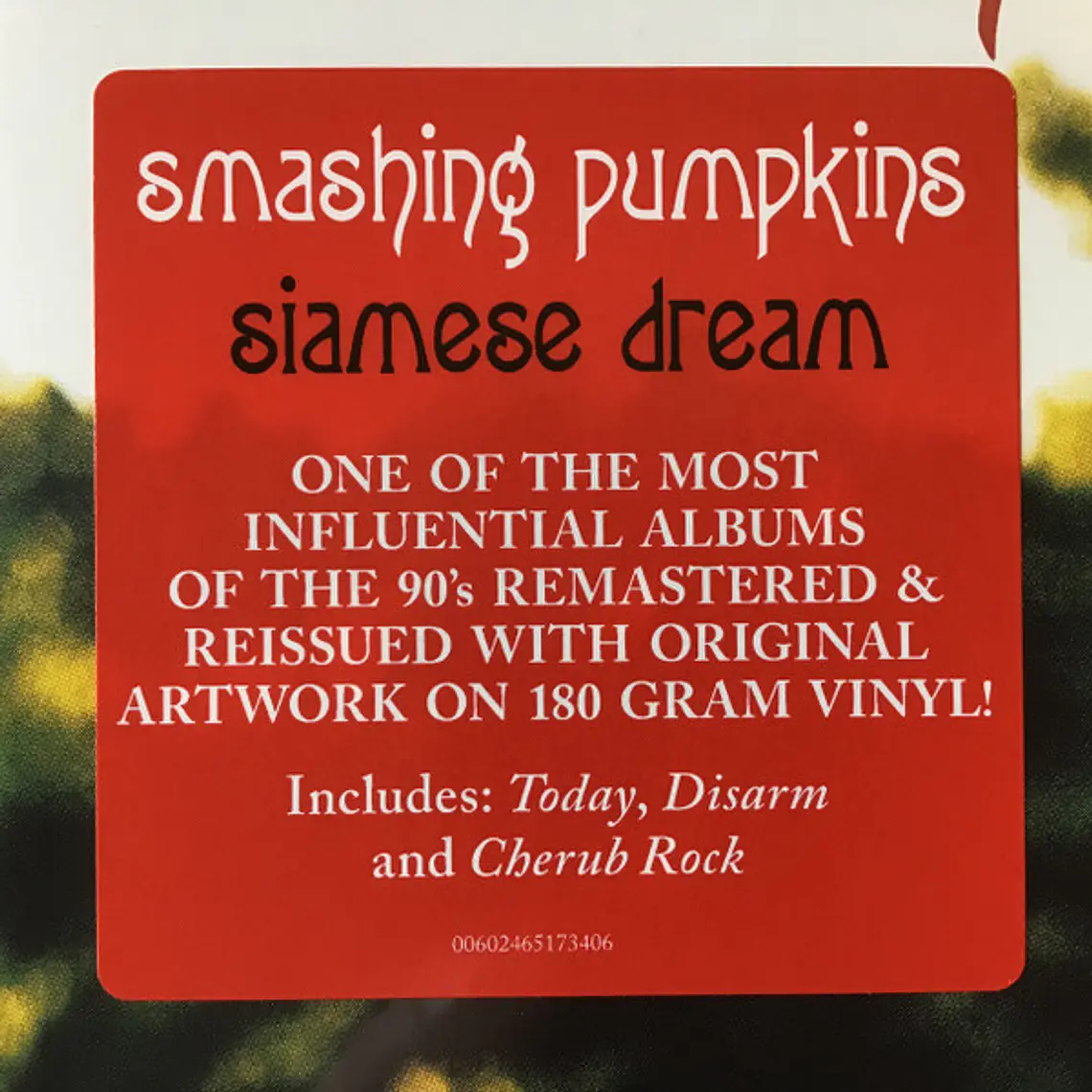 Smashing Pumpkins – Siamese Dream 3