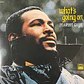Marvin Gaye – What's Going On - Miniatura 1