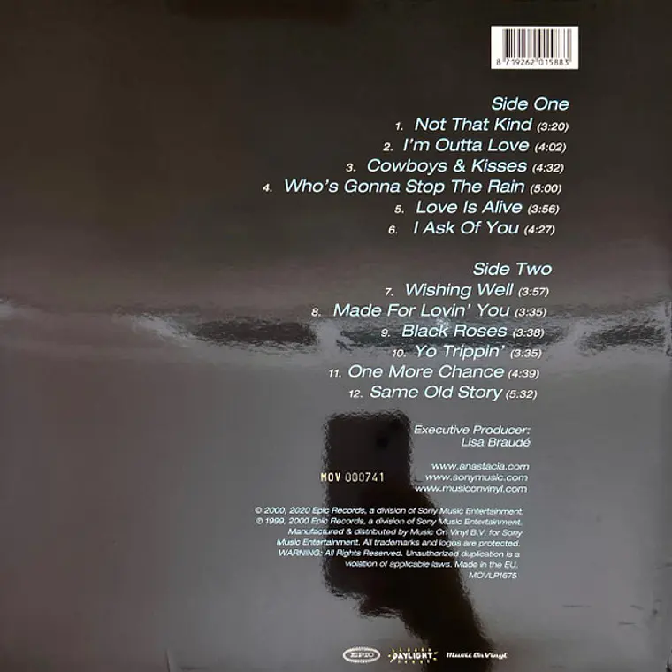 Anastacia – Not That Kind 2