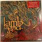 Lamb Of God – Ashes Of The Wake - Miniatura 1
