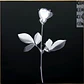 Depeche Mode – Violator - Miniatura 4