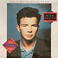 Rick Astley – Hold Me In Your Arms - Miniatura 1