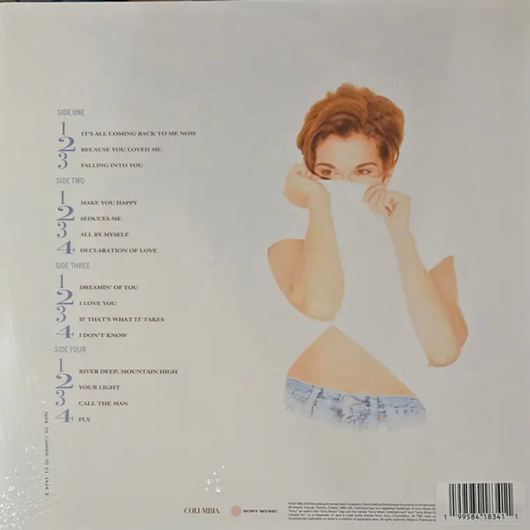 Celine Dion – Falling Into You 2