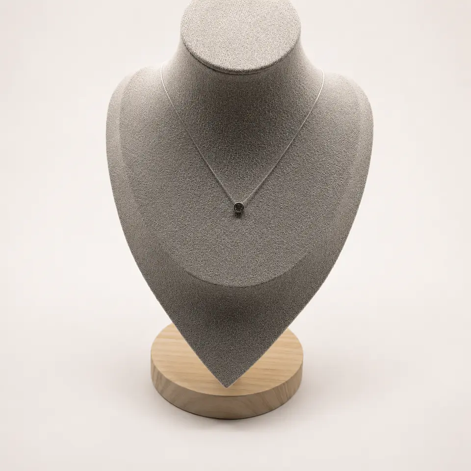 Collar Punto de Luz Plateado 2