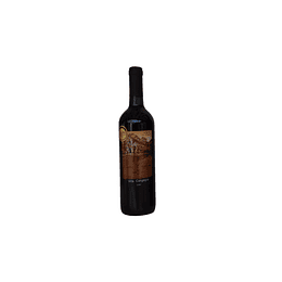 Reserva Cabernet Sauvignon 2021-Medalla Gran Oro