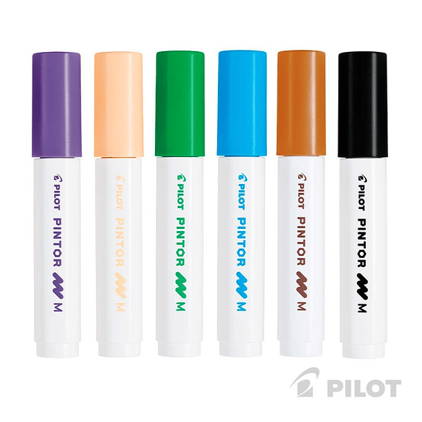 Set Pintor Medio 12 colores Surtidos 2