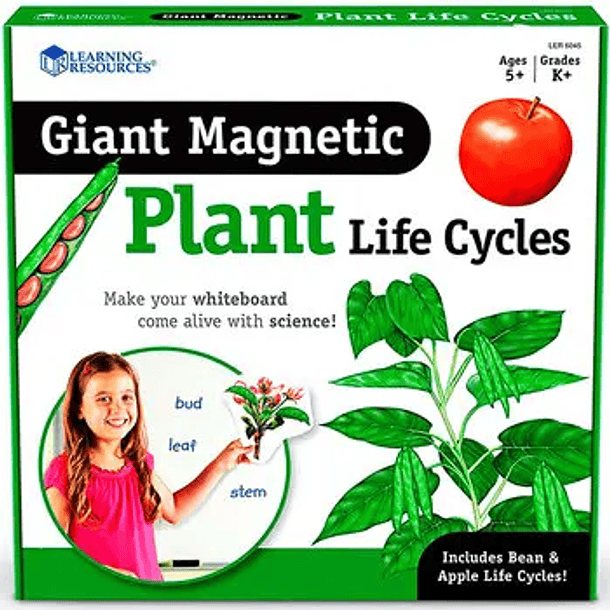 El Ciclo de la Vida de las Plantas Magnetico 