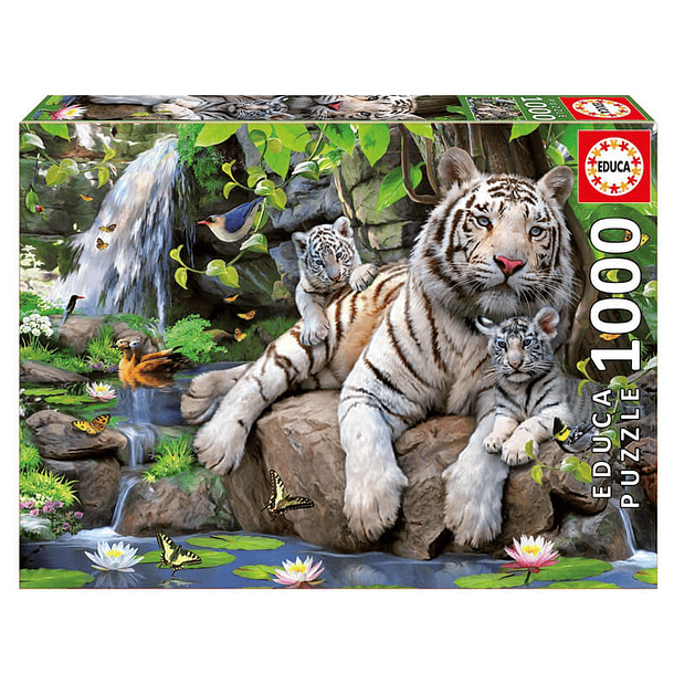 Puzzle 1000 Piezas Tigres Blancos 68x48cm  