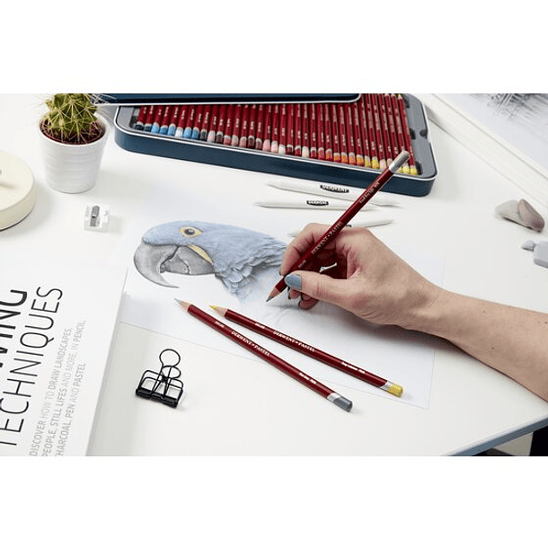 Lapices Pastel Derwent Set 36 Colores 3