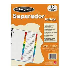 Separador Index Carta 12 Divisiones y Tabla de contenido