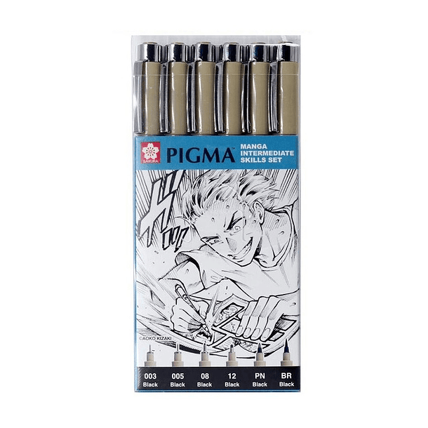 Tiralínea Pigma Sakura Set 6 Puntas 0.03-12mm +BR Negro +PN Negro Manga Intermedio 