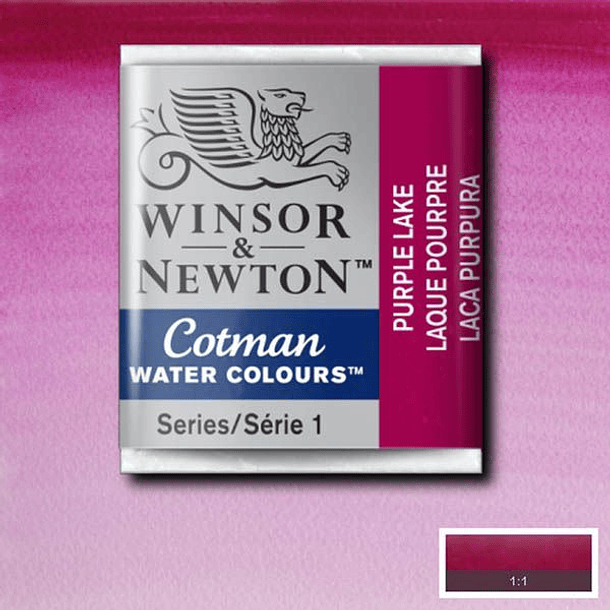 Acuarela 1/2 pan Winsor & Newton Cotman 24