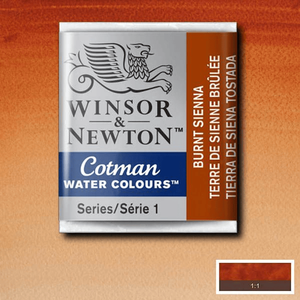 Acuarela 1/2 pan Winsor & Newton Cotman 34
