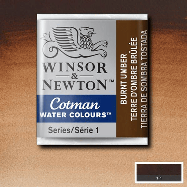 Acuarela 1/2 pan Winsor & Newton Cotman 36