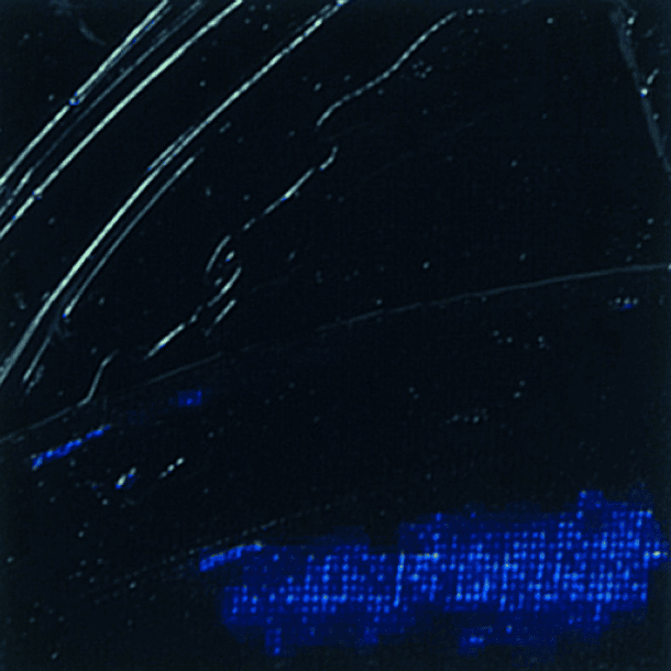 Óleo Pebeo XL Studio 200ml 20