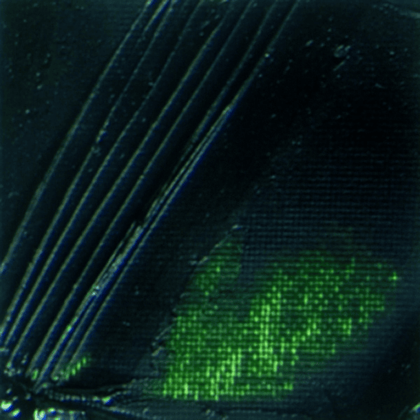 Óleo Pebeo XL Studio 200ml 34