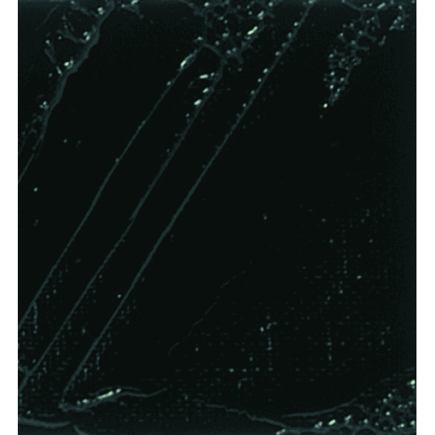 Óleo Pebeo XL Studio 200ml 48