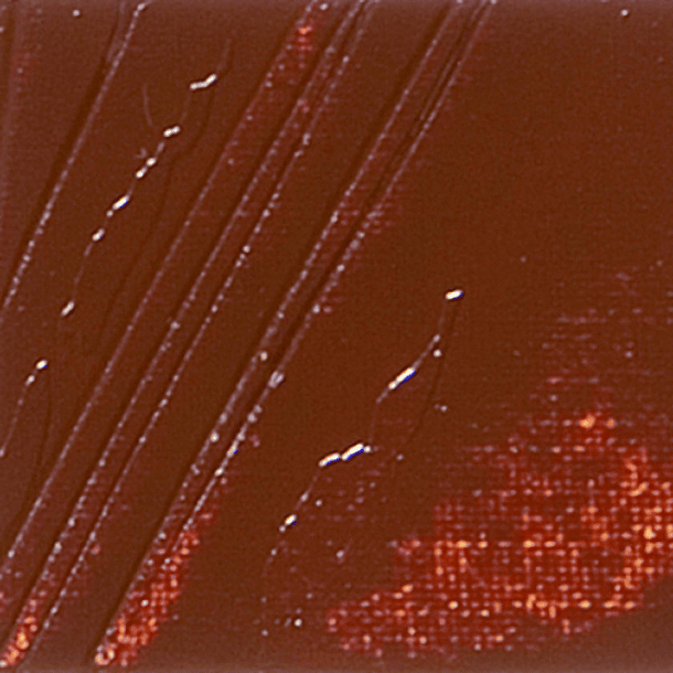 Óleo Pebeo XL Studio 37ml 39