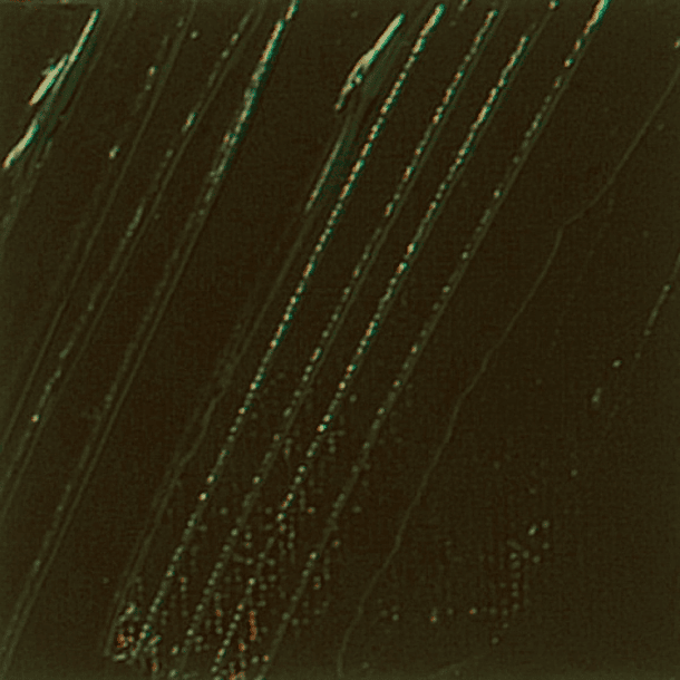 Óleo Pebeo XL Studio 37ml 48