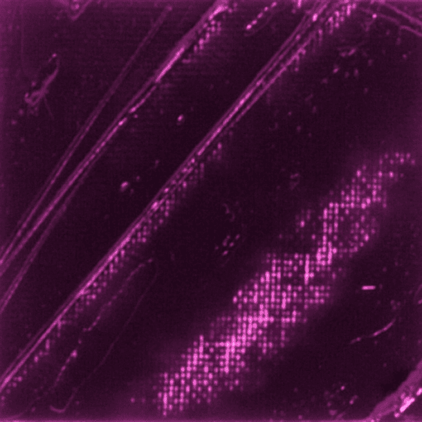 Óleo Pebeo XL Studio 37ml 65