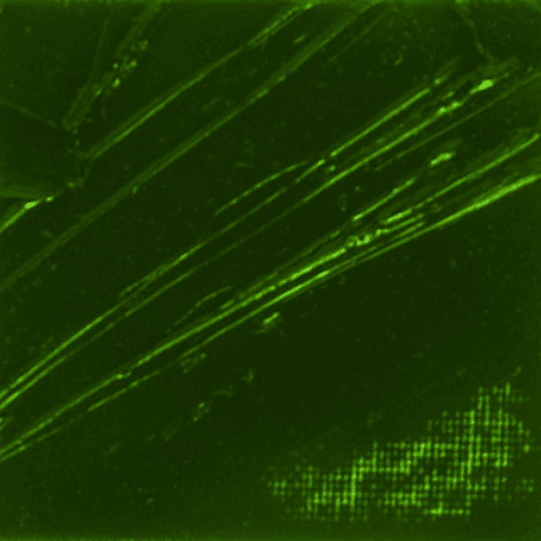 Óleo Pebeo XL Studio 37ml 68