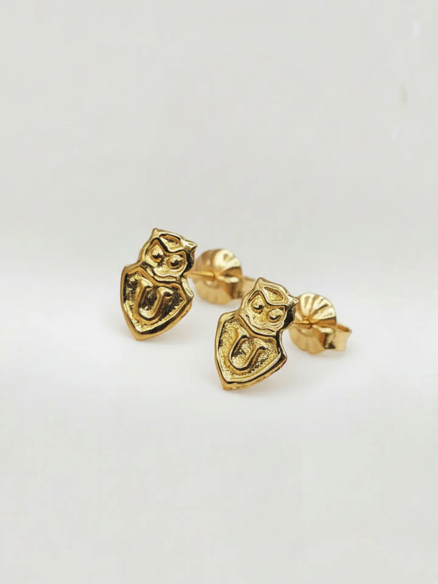 Aros Escudo Albo Pasión Grande Oro 18k 2