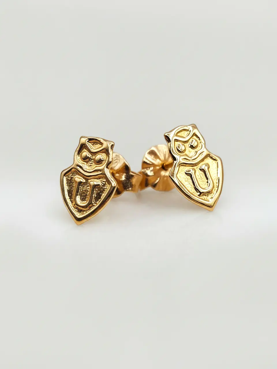 Aros Escudo Albo Pasión Grande Oro 18k 4