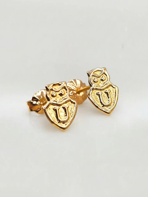 Aros Escudo Albo Pasión Grande Oro 18k