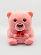 Estuche de Gala Osito Rosado - Miniatura 1