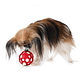 Brinquedo para cães - Thumbnail 2
