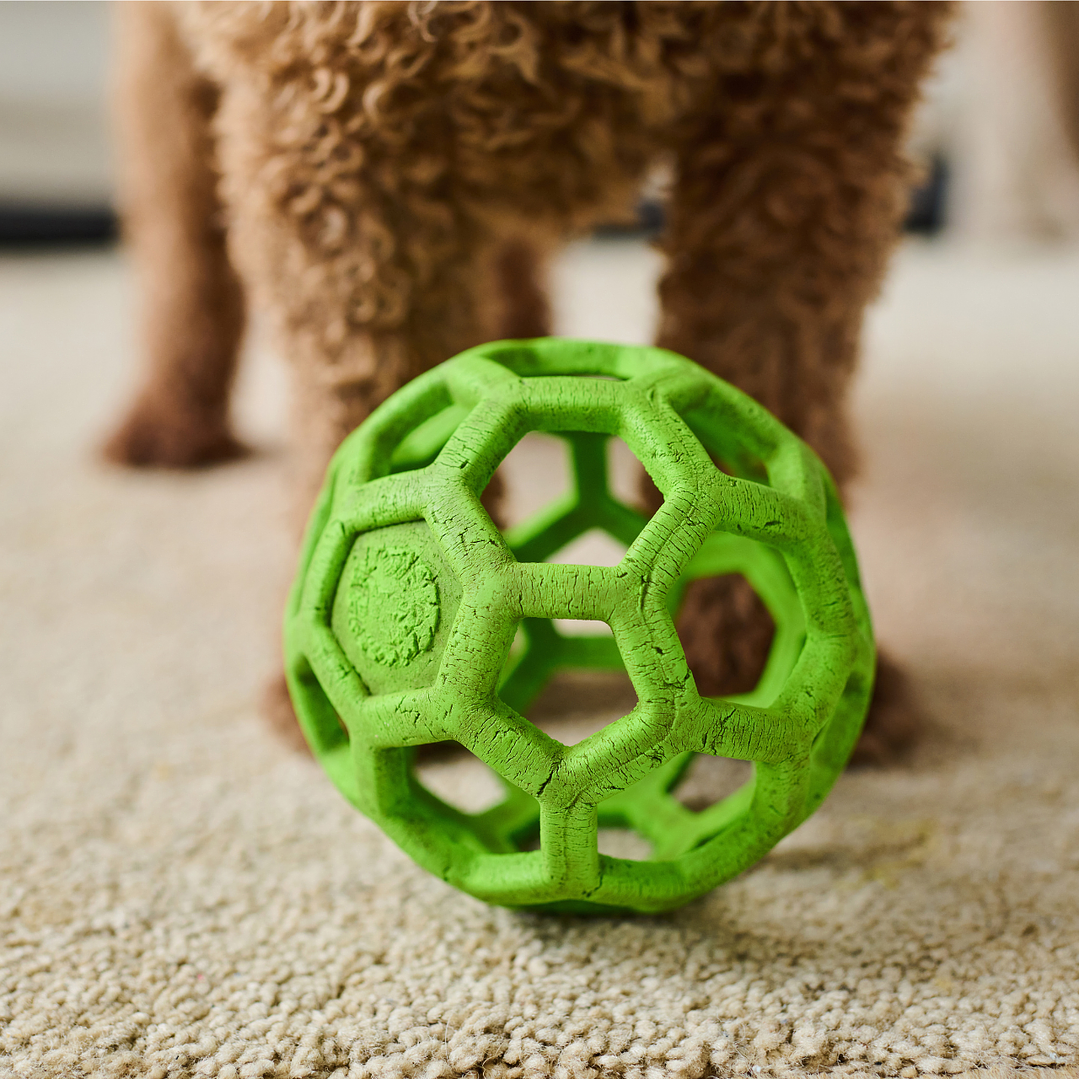 Brinquedo para cães 3