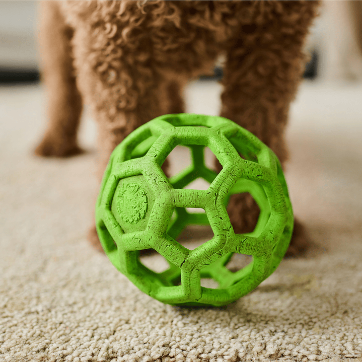 Brinquedo para cães 3