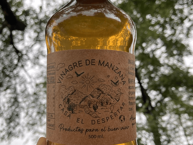 Usos Saludables del Vinagre 