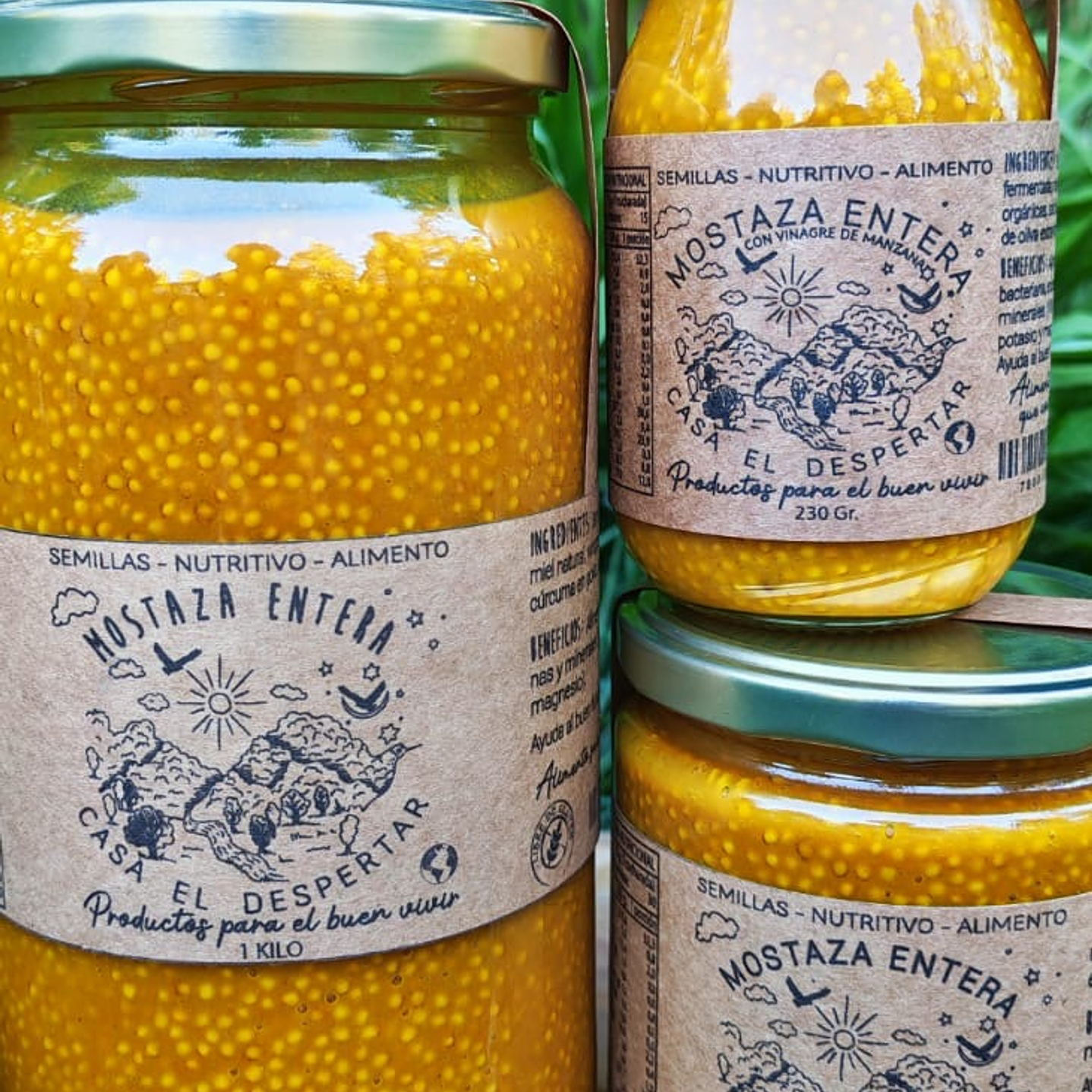 Mostaza Entera 1 kg 4